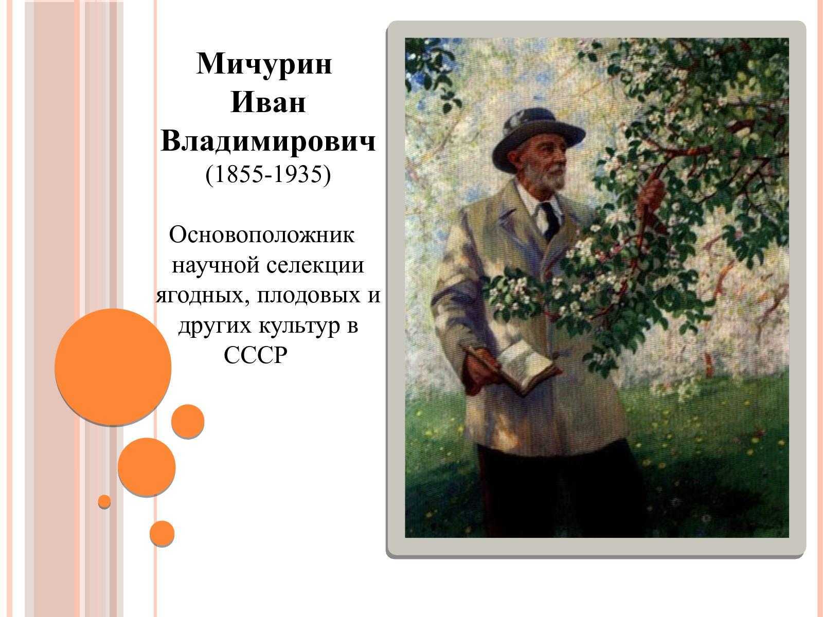 Создатель райского сада: иван владимирович мичурин. биография.