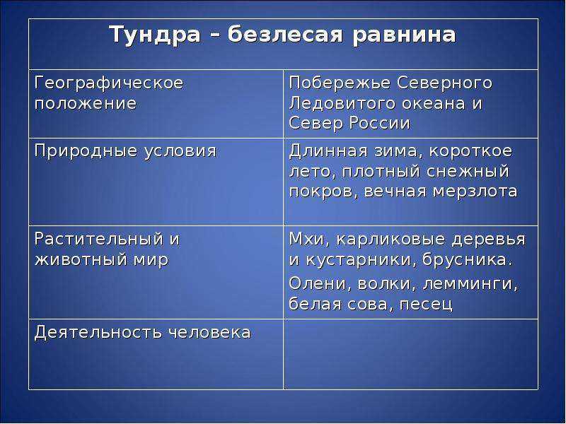 Растения тундры — уголок россии...отчий дом. (aлексей петровский) — newsland