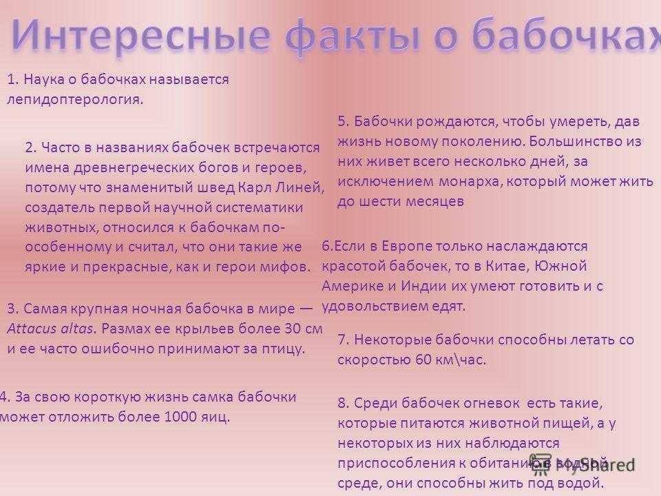 Факты бывшему. Интересные факты о бабочках. Интересные факты обабачках. Интересные факты о бабочках для детей. Интересные факты о бабочках для детей 1 класса.