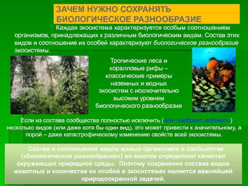 Меры сохранения растений. Сохранение биологического разнообразия. Биологическое разнообразие экосистем. Биоразнообразие в экосистеме. Биоразнообразие биологическое разнообразие.