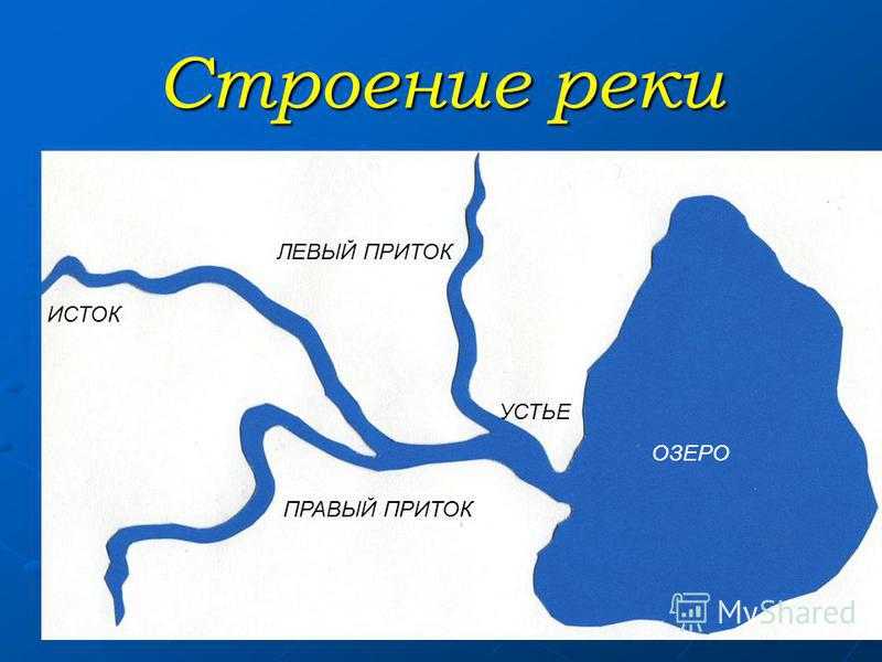 Россия: реки, самая длинная в европе и полноводная река страны и их значение | tvercult.ru