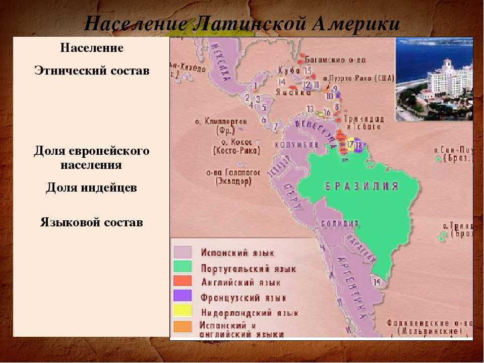 Какое население в южной америке. Страны Латинской Америки плотность населения. Плотность населения Латинской Америки. Население Латинской Америки карта. Численность и плотность населения Латинской Америки.