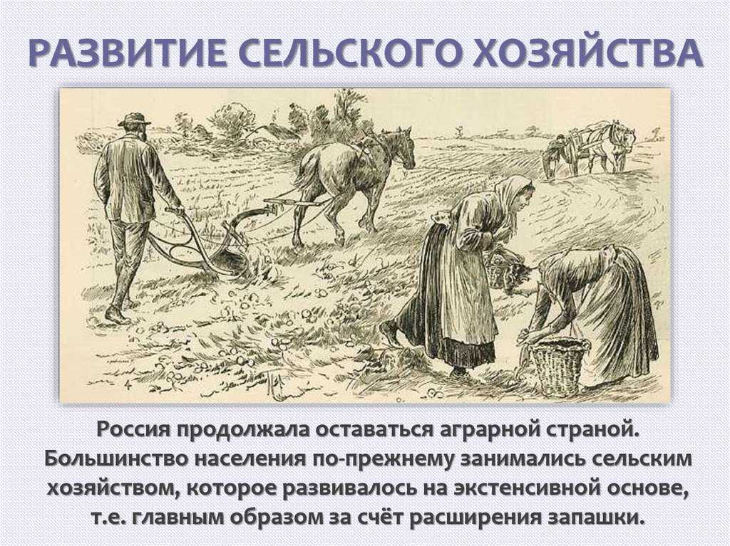 Коллективизация в ссср в 20-30 годы: причины, ход, последствия