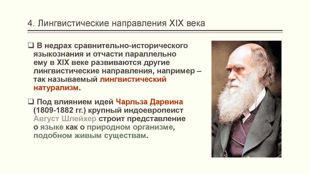 Мишель сюриа портрет интеллектуала в обличье домашней зверушки