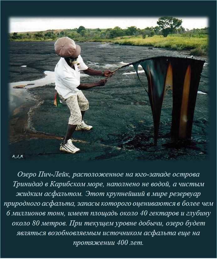 Интересные факты обо всем для школьников 5 класса