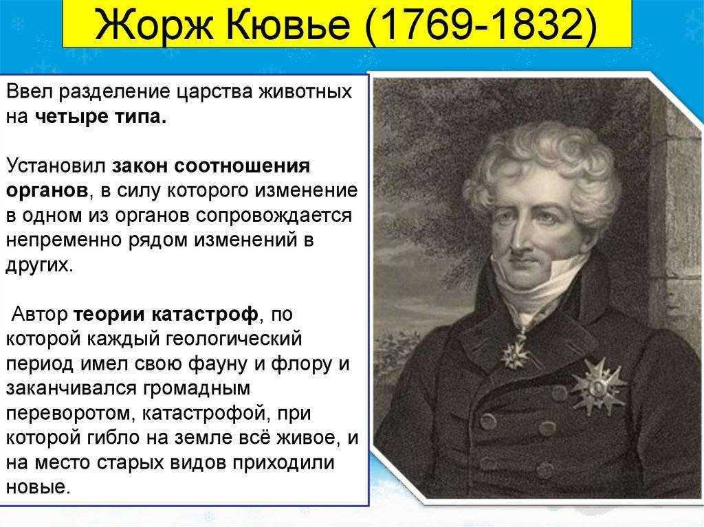 Теория ж кювье