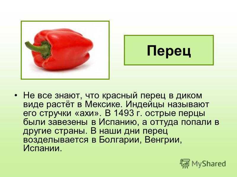 Чем полезен перец. Рассказ о перце. Доклад про перец. Доклад про болгарский перец. Сообщение о перце.