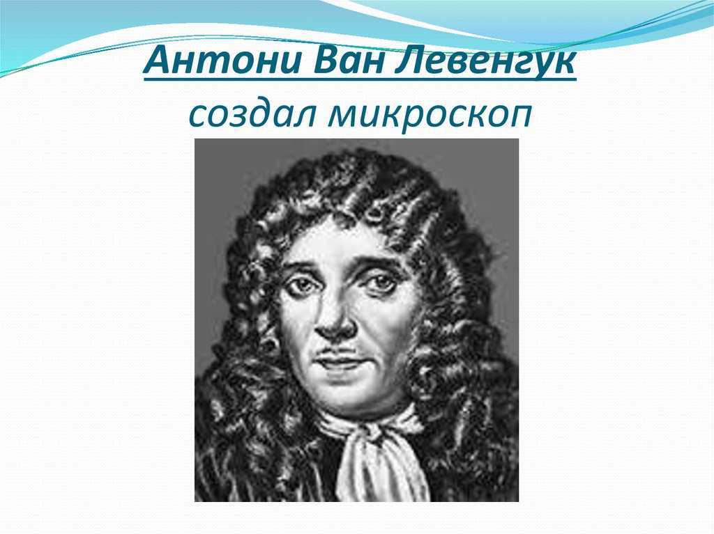 Левенгук, антони ван