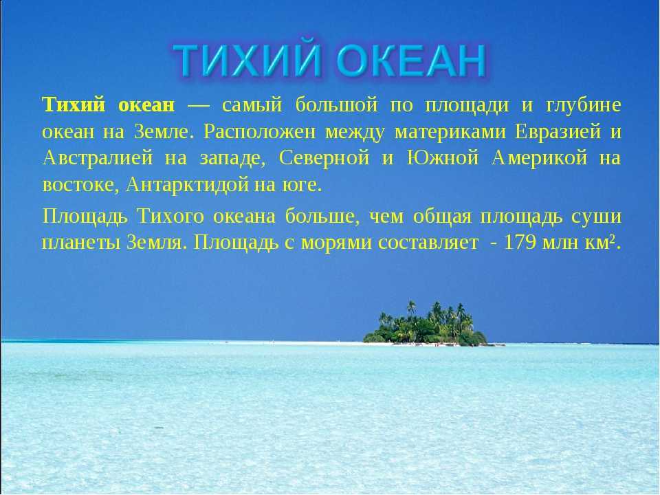Сообщение о морских обитателях для детей - описание подводного мира