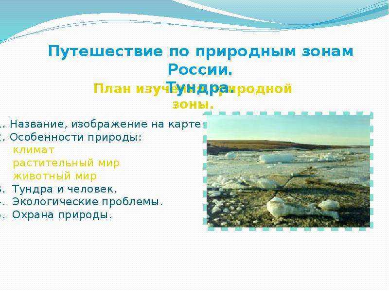 Природная зона тундры