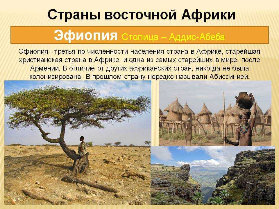 Танзания — информация о стране - новый географический сайт | города и страны | интересные места в мире