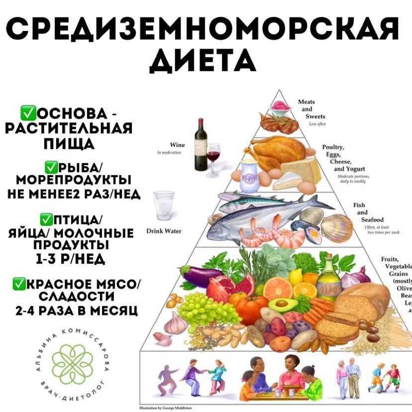 Польза и вред вегетарианства научные исследования. различные виды вегетарианства