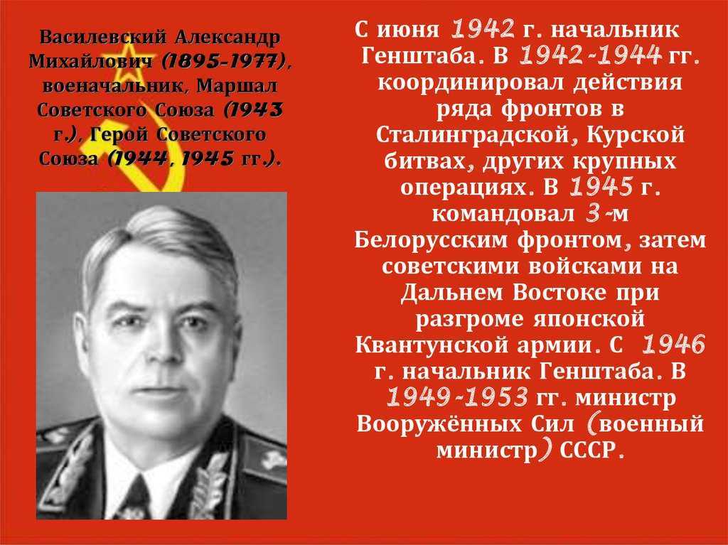 Андрей василевский - лучший вратарь