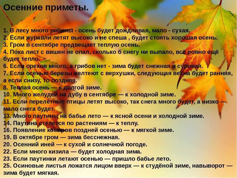 Интересные факты об осени для детей. интересные факты про осень
