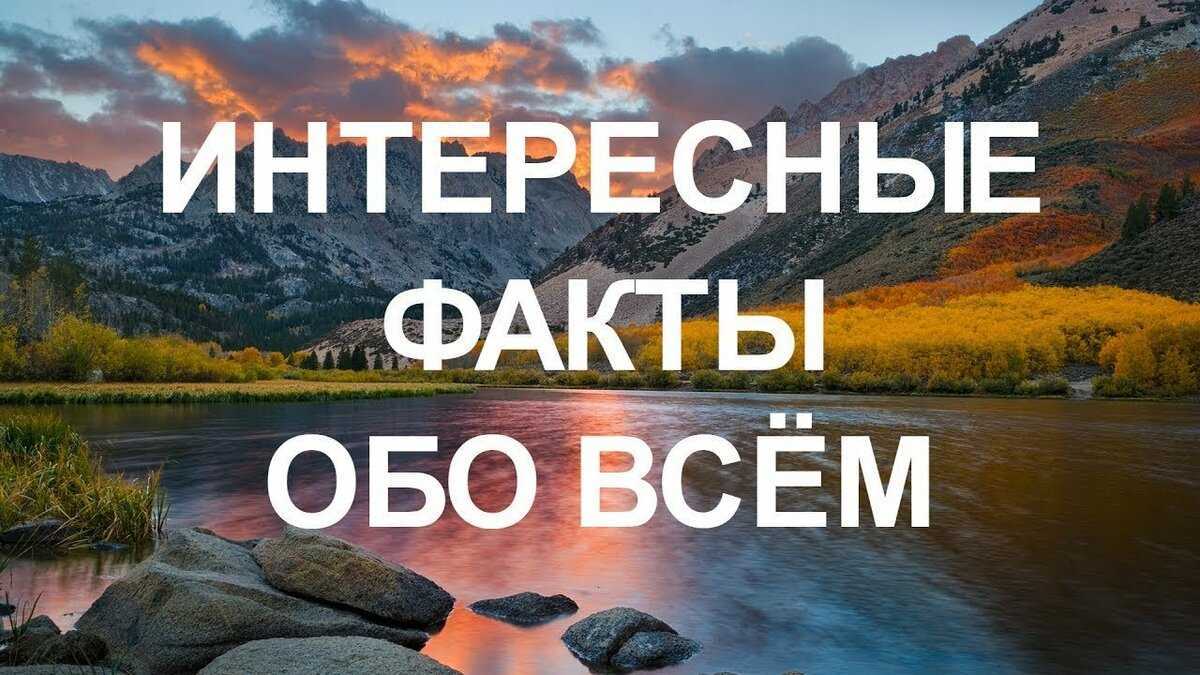 Интересные факты рисунок