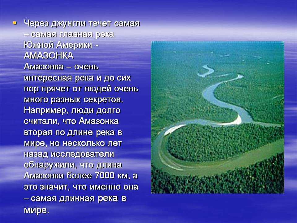 Рассказ через реку. Южная Америка река Амазонка. Река Амазонка в Бразилии. Река Амазонка география 7 класс. Река Амазонка презентация.