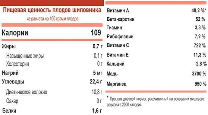 Шиповник: полезные свойства и вред | food and health
