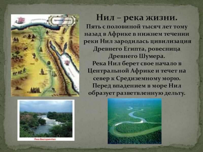 Нил — исток, бассейны, притоки, города нила, круизы и отзывы туристов