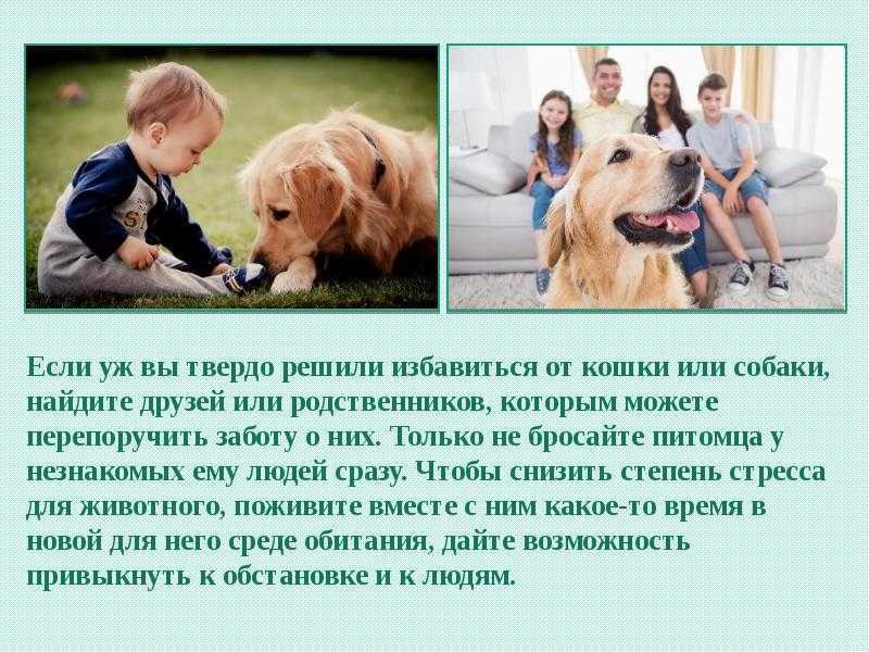Интересные факты о животных осенью. жизнь животных осенью. | интересные факты