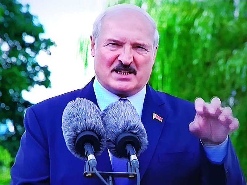 Сыновья александра лукашенко: что известно о детях президента белоруссии