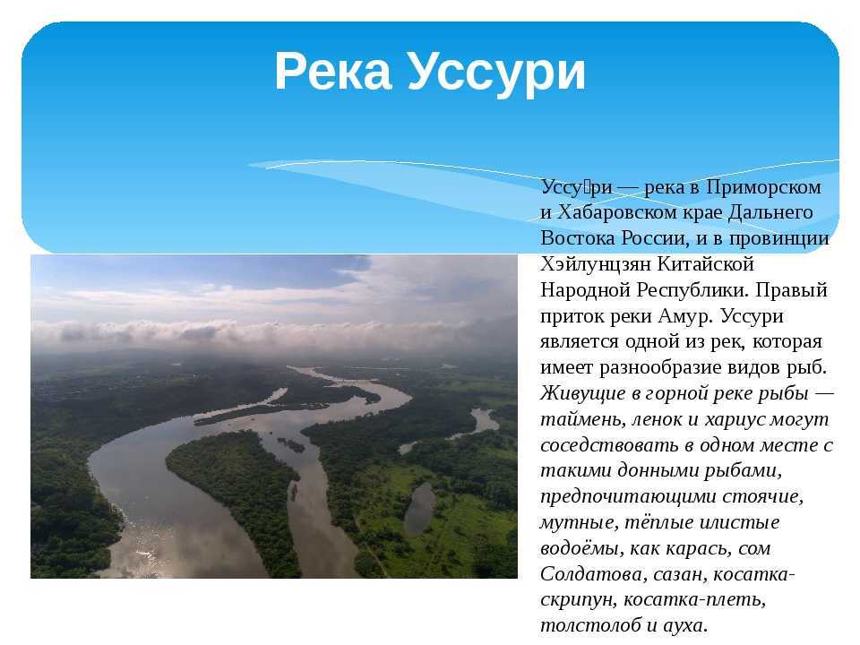 Река амур факты