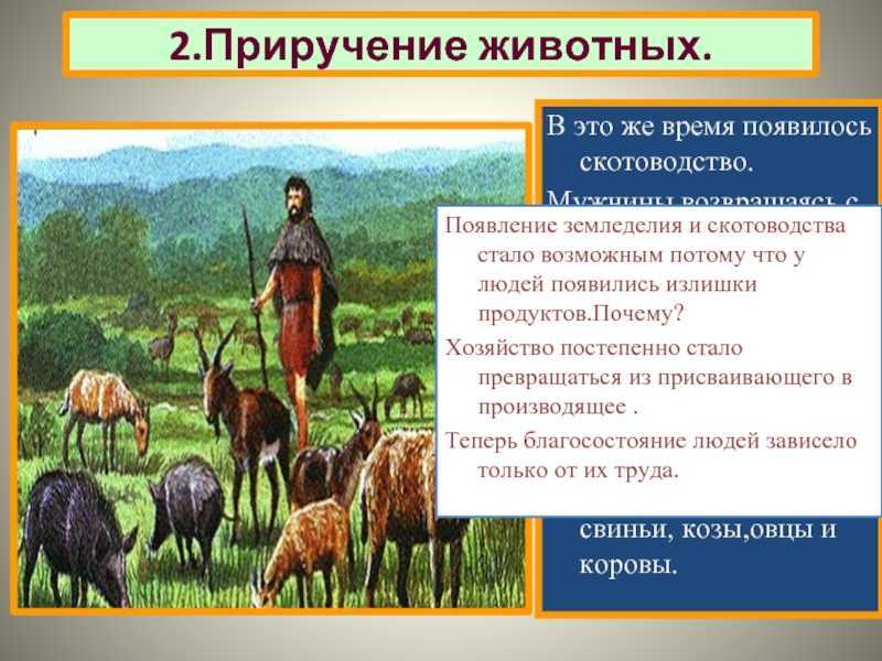 Как человек приручал и одомашнивал животных - zefirka