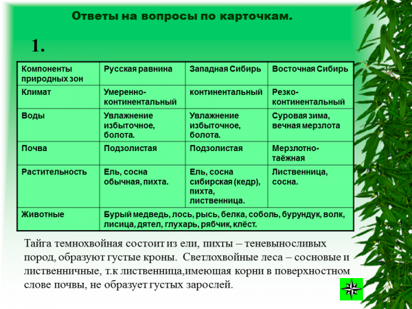 План характеристики природной зоны смешанные леса