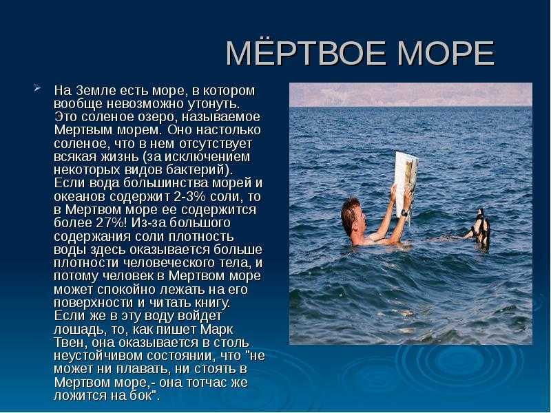 Презентация на тему мертвое море