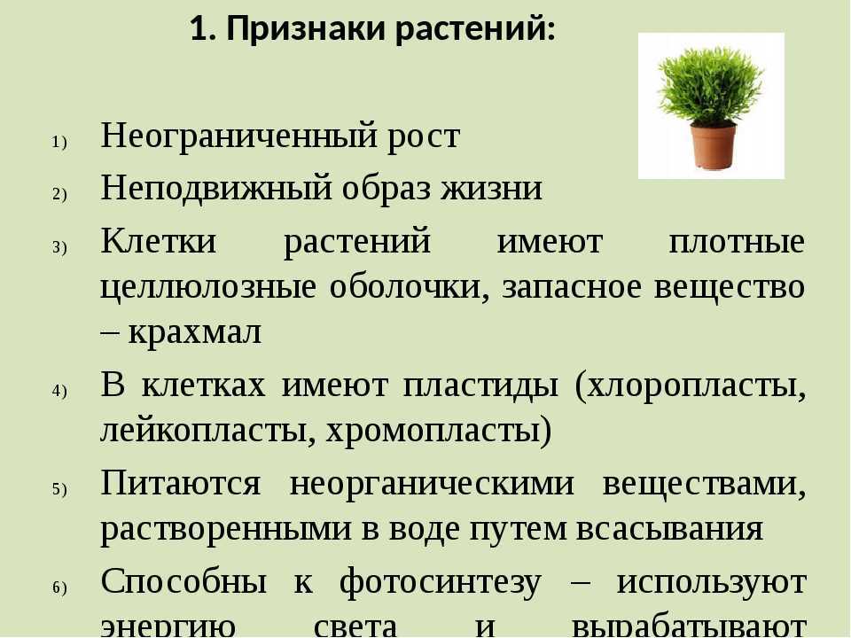 Общая характеристика растений. Признаки растений. Основные признаки растений. Признаки царства растений.