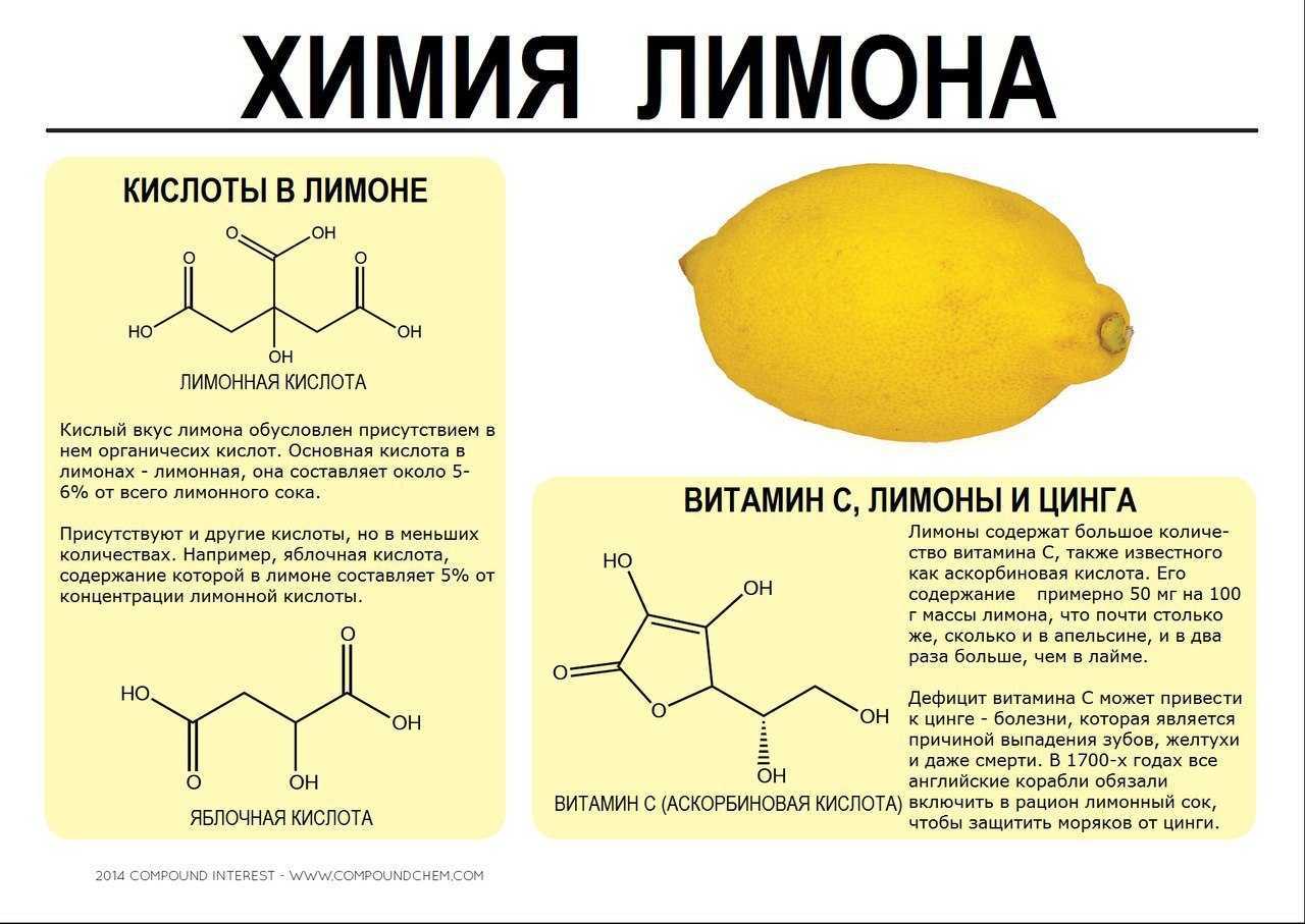 Эссе «наука — самое важное, самое прекрасное и нужное в жизни человека, она всегда была и будет высшим проявлением любви». воспитателям детских садов, школьным учителям и педагогам