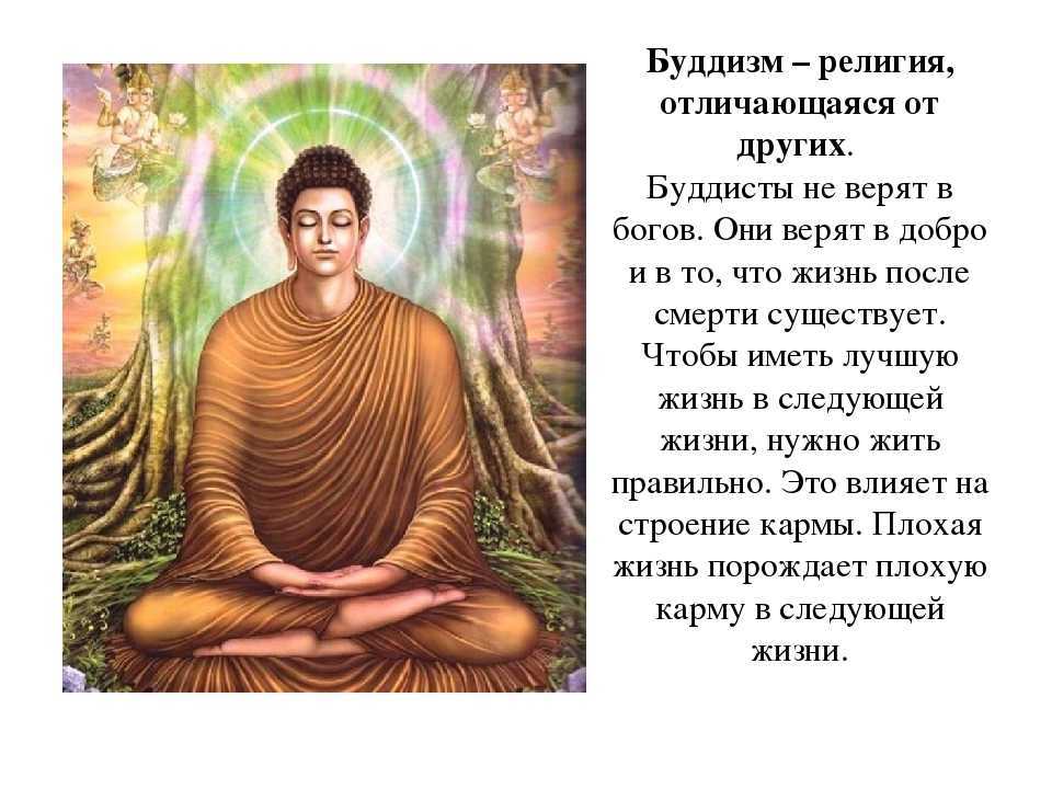 Buddha перевод