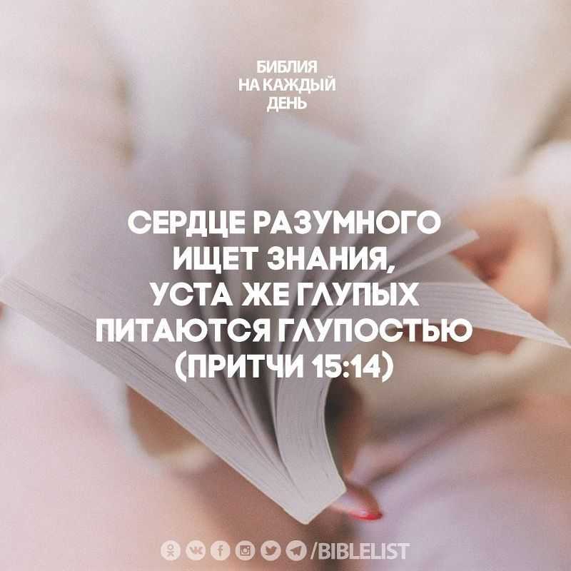 Высказывания об умении вести беседу. интересные высказывания об умении вести спор