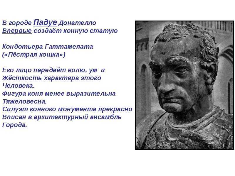Донателло: история и описание черепашки ниндзя