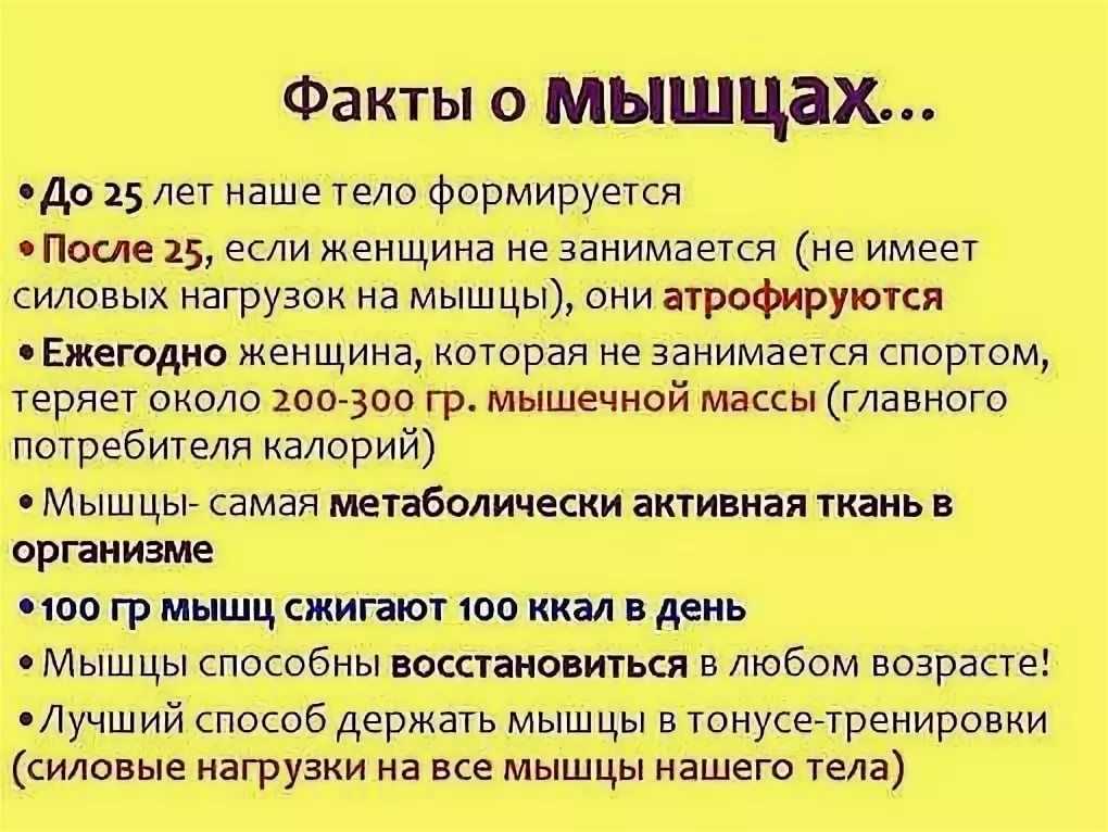 Мышцы человека: анатомия, функции, строение в картинках