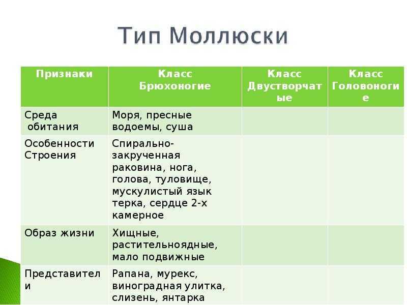 Улитка ахатина: фото, содержание, разведение, совместимость, видео
улитка ахатина: фото, содержание, разведение, совместимость, видео