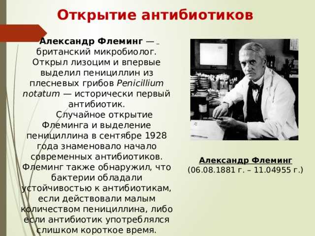 Александр флеминг презентация