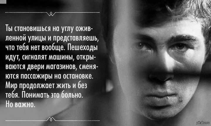 Светлана михайлова-бодрова: как живет вдова сергея бодрова-младшего?