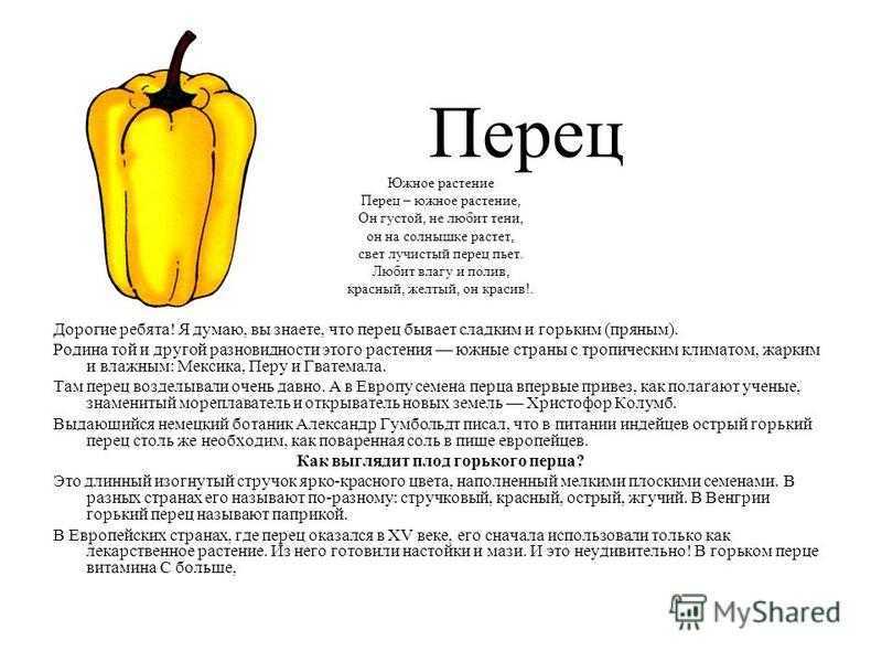 Почему болгарский перец — «болгарский» и что это за фрукт?