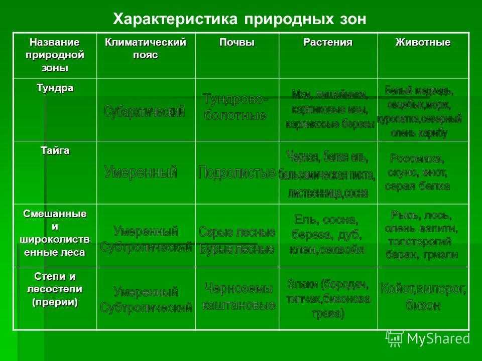 Климат рельеф природные зоны. Таблица природные зоны климатический пояс почвы растения животные. Зона лесов географическое положение климат почва растения животные. Климатические пояса и природные зоны России таблица. Климатический пояс природная зона таблица.