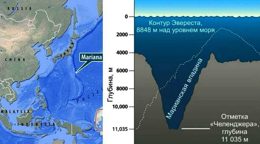 Мир марианской впадины: тайны океанского дна, кто живет на большой глубине