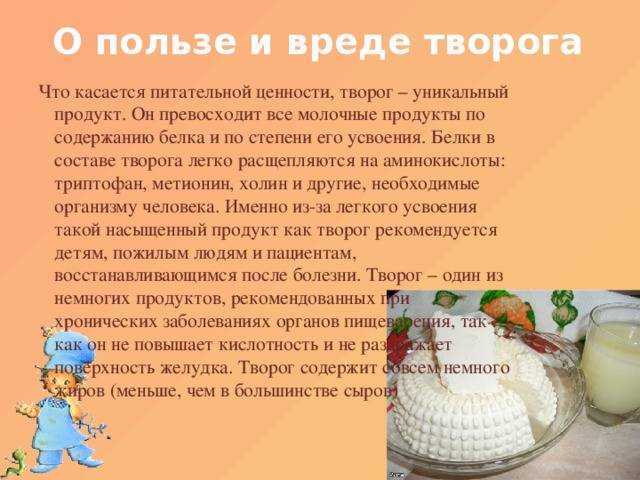 Какой творог признан худшим по мнению росконтроля: топ 6 марок
