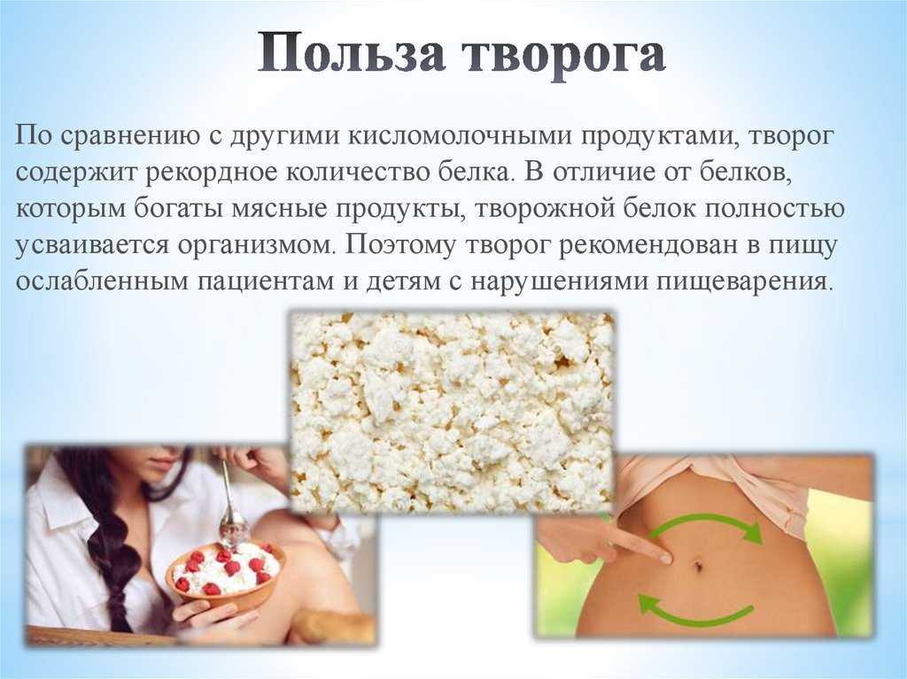Молочные продукты от а до я - статьи и рецепты приготовления