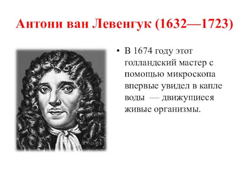 Антони ван левенгук (1632-1723) презентация, доклад