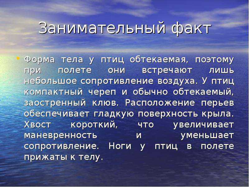 Интересные факты о воздухе, свойства, состав, распространение