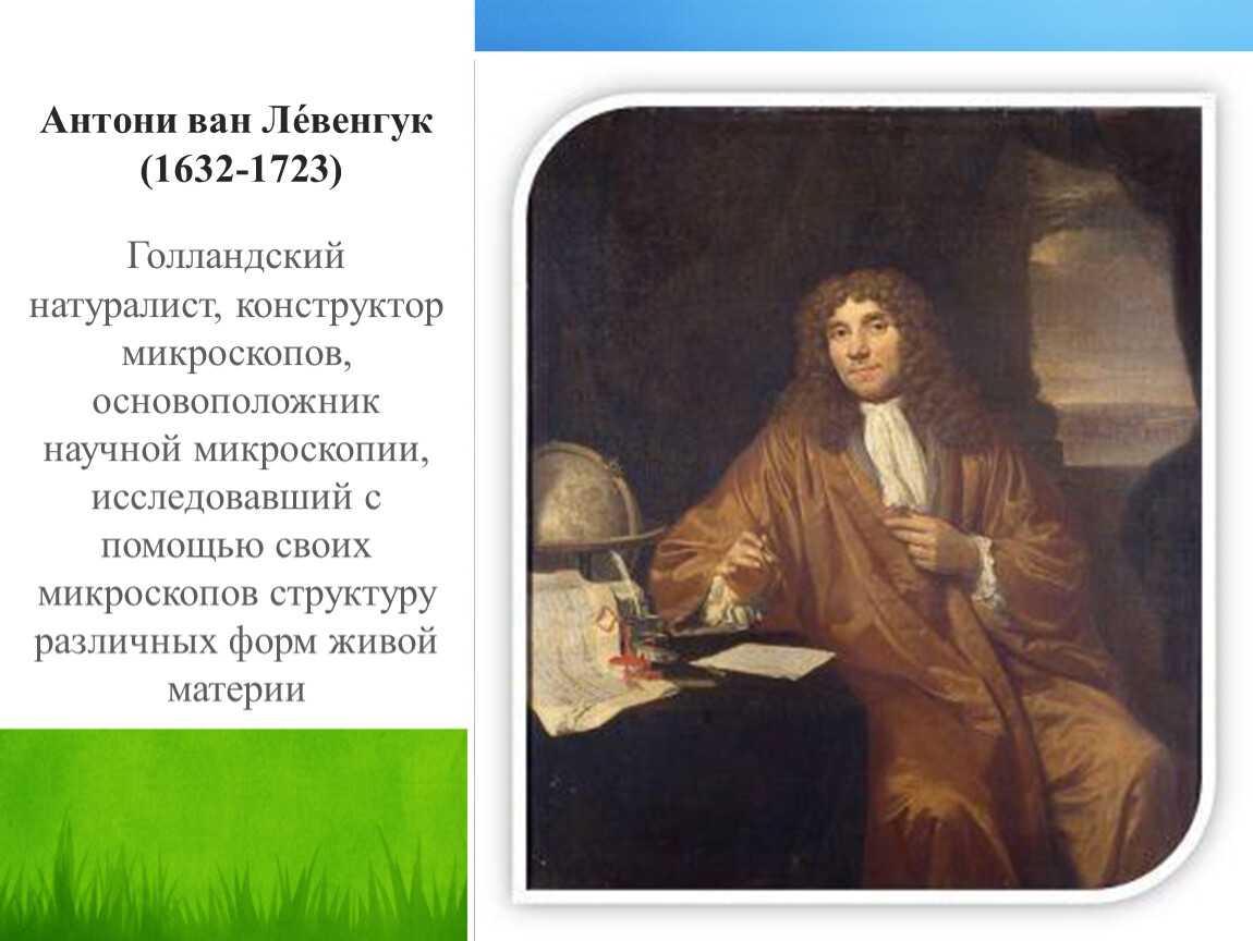 Нидерландский натуралист. Антони Ван Левенгук (1632-1723). Антони Ван Ле́венгук (1632—1723 ). Голландский натуралист Антони Ван Левенгук. Антони Левенгук презентация.