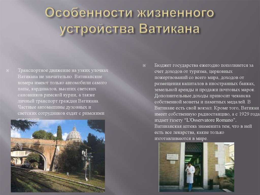 Зачем учить латынь и где её изучают