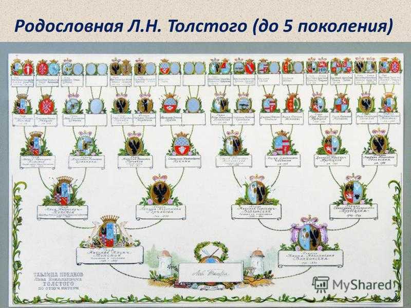 История успеха льва николаевича толстого: классика российской литературы и философа