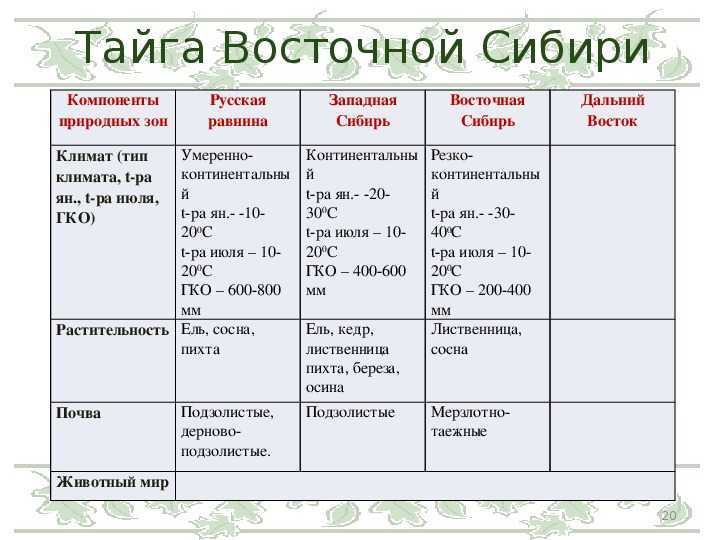 Географическое расположение тайги в россии