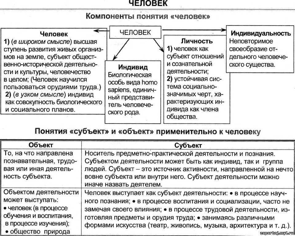 Схема личность человек индивид индивидуальность личность