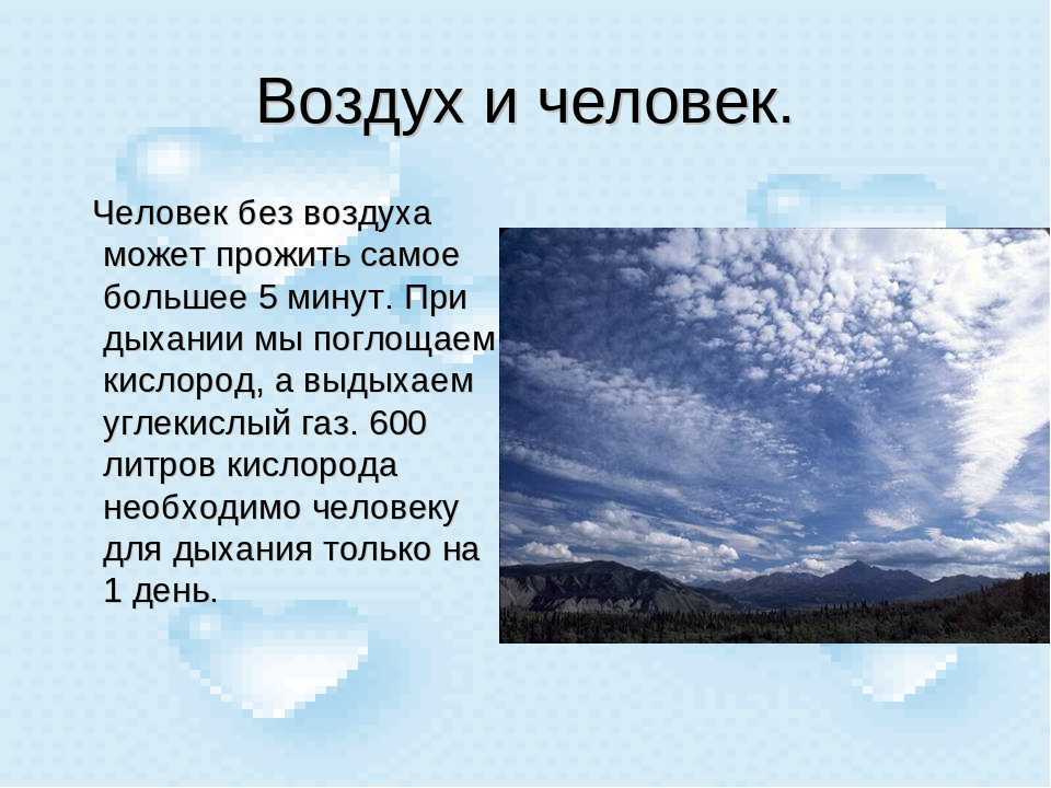 «воздух — кормчий реальности, или кибернетик»: как объяснял мир древнегреческий философ диоген аполлонийский — нож